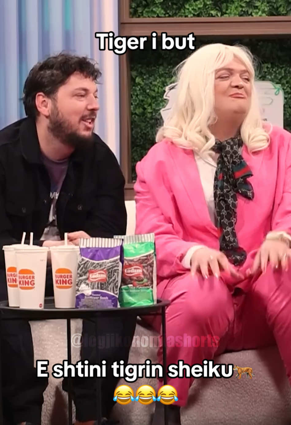 Tiger i but spo hajke😂🐅#logjikonomia #dhezipahiri #fyp 
