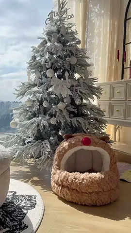 Join our live this afternoon as we have flash sales and discounts on a variety of products including Christmas! #petbed #blackfriday #trainingtreats #tiktokmademebuyit #fyp 