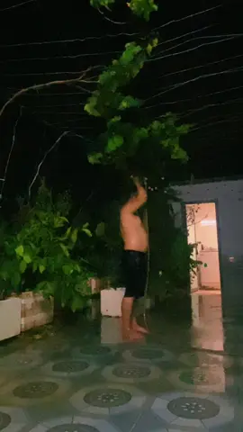 Đi chơi có vài bữa cây héo hết rồi #bear #🐼 