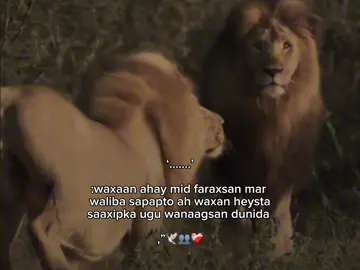 Really,❤️‍🩹#foryoupage 