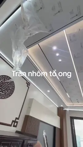 chủ đầu tư bảo trần nhựa nhìn nó ko sang nên làm trần nhôm tổ ong vừa sang, bền, thẩm mỹ, ko lo ẩm ướt 😄