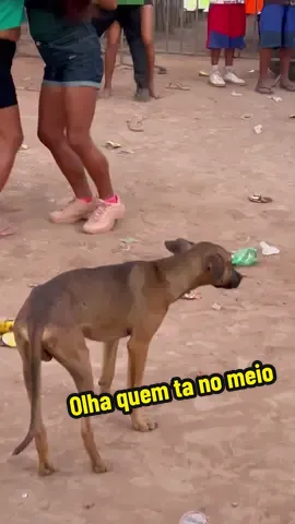 Olha quem tá no meio #f250explosiva #som #automotivo #barradocordaMA #paredao