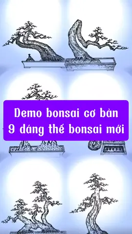 Demo 9 dáng bonsai cơ bản  #bonsai @dinhhan186 #bonsaitree 