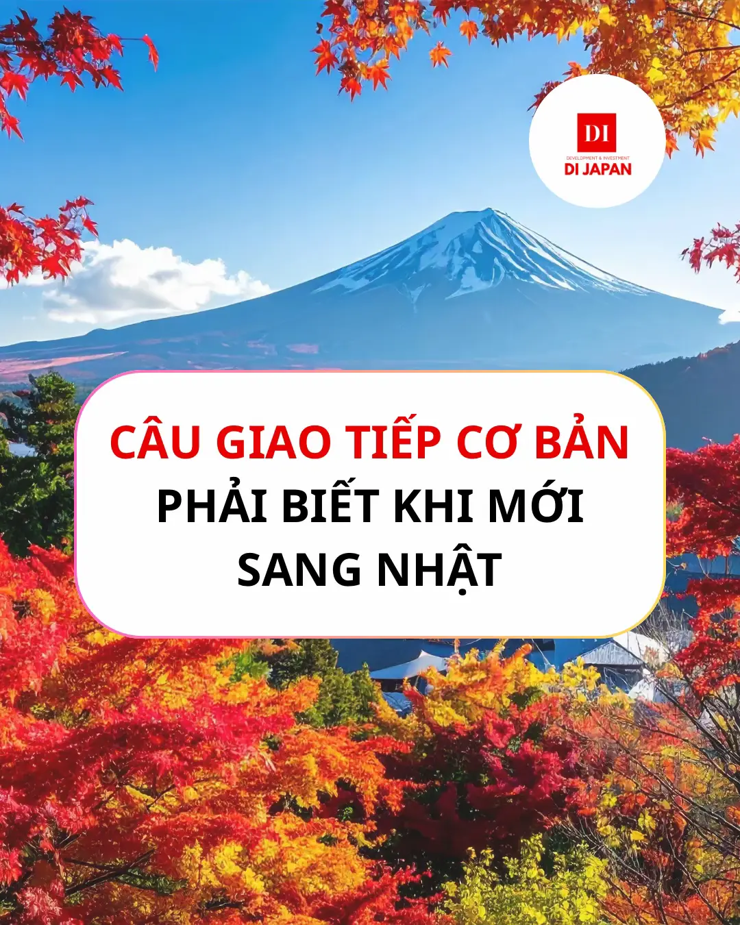 Nắm chắc các câu sau để ✈️🇯🇵 thuiiii #dijapan #hoctiengnhat #duhocsinh 