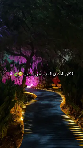 تجربة استثنائية ساحرة في غاردينيا بيتس 🥹💜✨ #gardenia_pets #الجبيل_الصناعيه #الشرقية #وندر_هيلز #حديقة_العجائب 