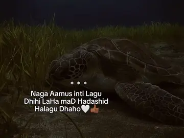 🤍👍🏾:   #viral_video #fypシ゚ #foryoupage #fypvirall #writerSaCck 