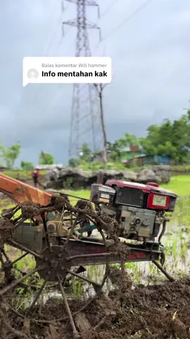 Membalas @Wili hammer tabe mentahnya kanda🙏🏻