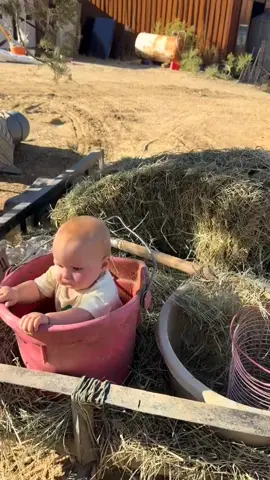 تلاوه من القران الكريم #لايكات #متابعة #القران_الكريم #القران_الكريم_راحه_نفسية😍🕋 #اكسبلور #foryou #fyp #f #quran #اكسبلورر #explor 