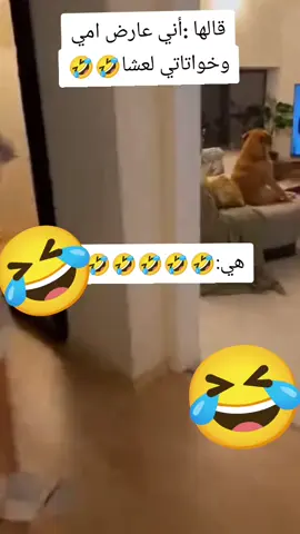 #maroco🇲🇦algeria🇩🇿tunisia🇹🇳 #الجزائر🇩🇿_تونس🇹🇳_المغرب🇲🇦 #😂😂😂 #🤣 #ضحك 