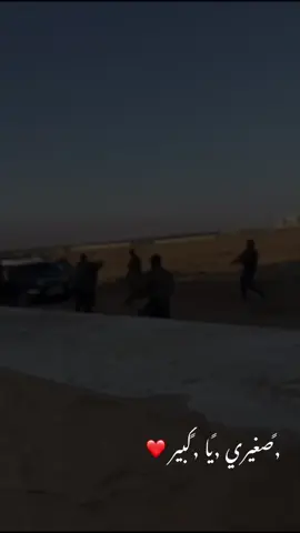 #بو_علي #نوح_زعيتر 