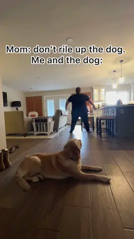 Anyway riles your dog #meme #family #dog #mom 