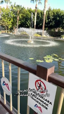 #برررم_برررم💃🏽 #الدعم_في_ذمه_الله #اعملولي_اعادة_نشر😒 