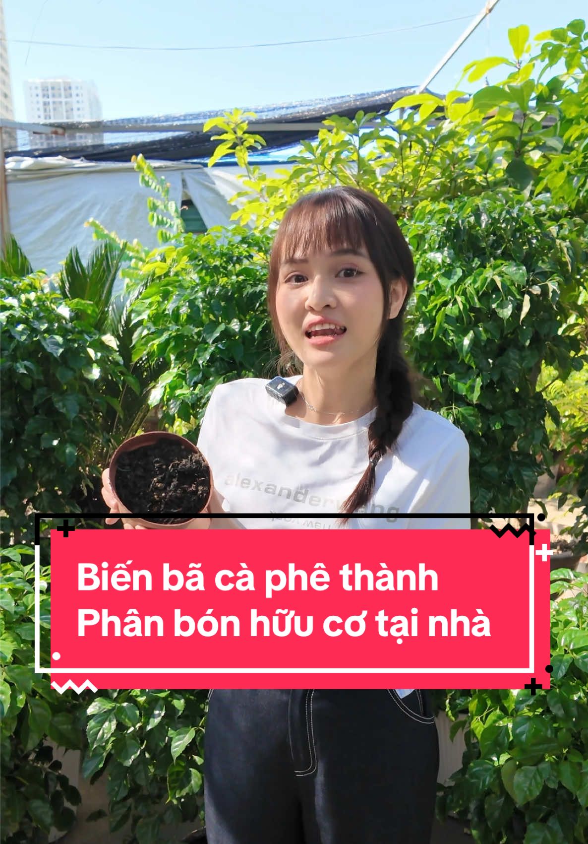 Biến bã cà phê thành phân bón hữu cơ tại nhà #mẹovặt #tronghoa #meohay #xuhuong #trongcay 