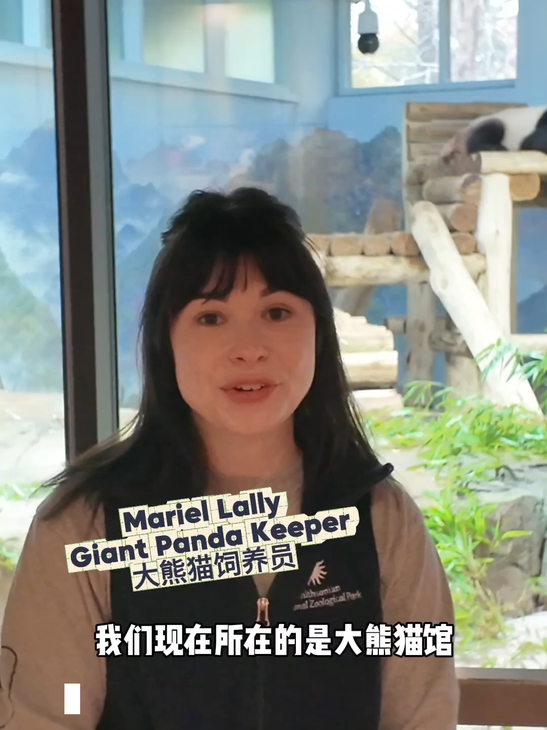 (2/2) The @NationalZoo is back and so are the #pandas! Our Embassy team visited the celebearities! Listen to the 