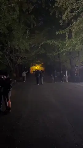 #இன்னிசைமழை #இன்னிசைப்பாடல்கள்🎶 #❤❤❤❤❤❤❤❤❤❤❤❤❤ #🌹🌹🌹🌹🌹🌹🌹🌹🌹🌹🌹🌹 