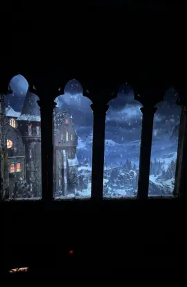 📽️აი რა შეუძლიათ ჩვენს პროექტორებს 😍🌲🌲🏰 #foryou #windowprojector #goviral #harrypotter #christmas 😊 შესაძენად მოგვწერეთ პირადში ❤️🎁