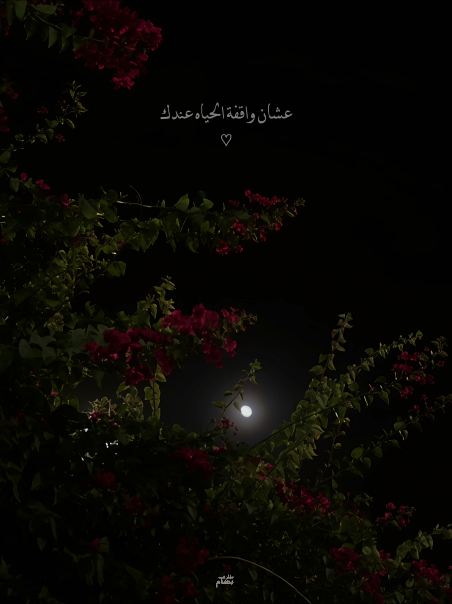 اغنية الشتاء وصلت من السلطان ✨ #بهاء_سلطان #حب #تصميمي #تصميم_فيديوهات🎶🎤🎬 #مشاهدات_تيك_توك 