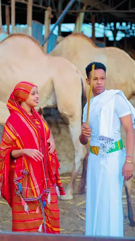 @M A R I A HARLIN 🫶🏻🌹#tik_tok #qooqaagaqarnka #foryoupage 