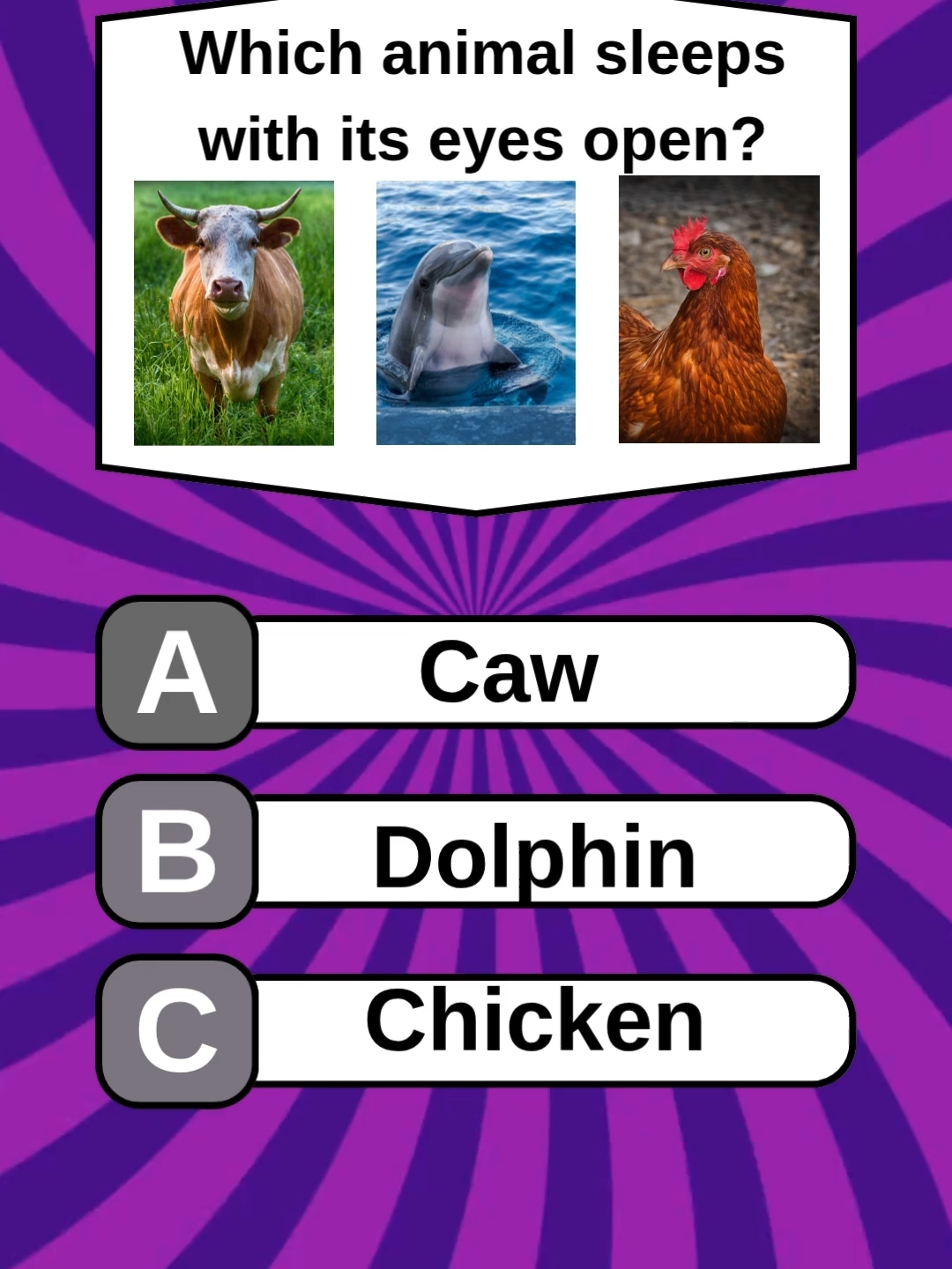 General Knowledge. #quiz #generalknowledge #trivia #LearnOnTikTok #quizchallenge