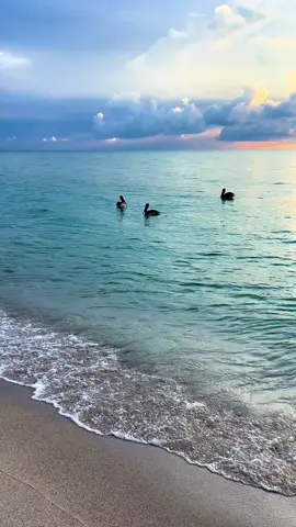 #miami #sunrise #sunset #ocean #sky 