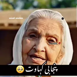 Punjabi kahwat🔥🔥🔥👍👍👍 #viralvideos #Relationship #punjabi#kahawat#aizal9191🌹 