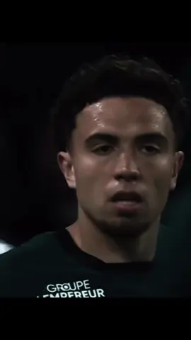 Notre étoile le lion de l’Atlas NEIL 🦁#neilelayanoui #elayanoui #neil #edit #rclens❤️💛 @loic62370 