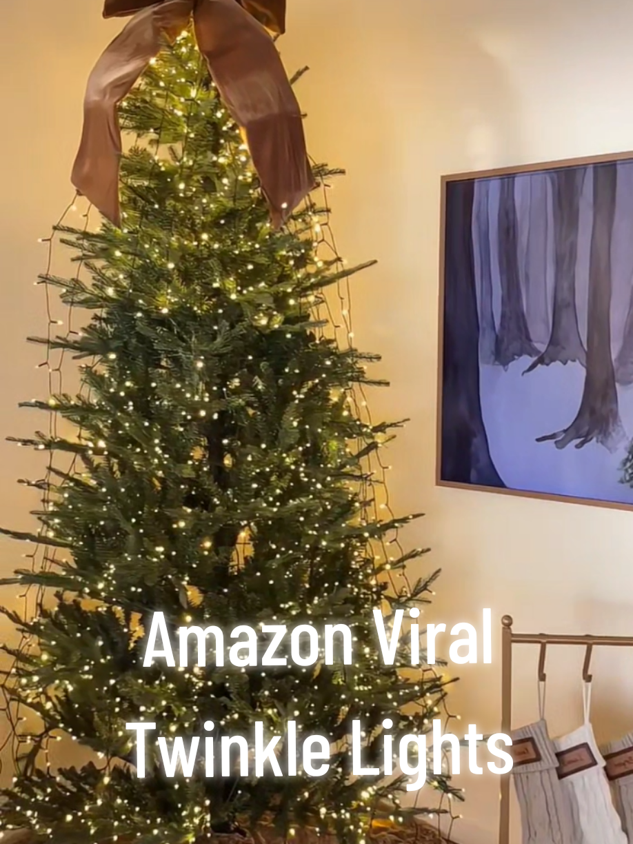 Amazon New Viral Twinkle Lights 🎄 Products Linked in Bio✨ ‎Shop my Amazon Storefront – just search under ( Christmas Finds )✨ ‎This video is being shared for promotional purposes or to help others✨ ‎Original content belongs to its rightful owner @elnazhamai #amazon #amazing #christmas #twinklelights #bkhomegoods ‎
