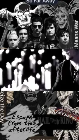 afterlife #avengedsevenfold #a7x 