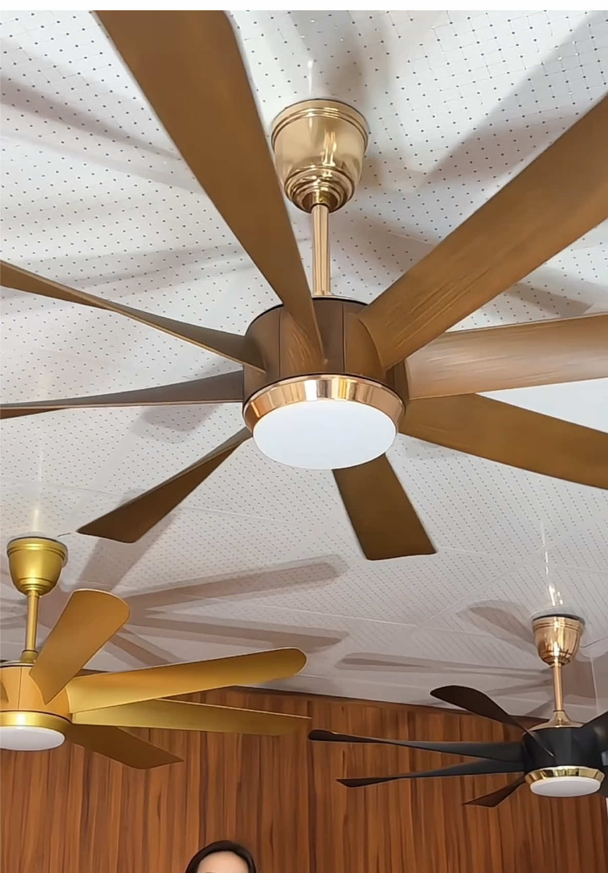 Em lên cho các các em quạt 8 cánh 4 màu vàng-nâu-đen-ghi #oanhoioanh  #quat8canh  #noithatnhacua 