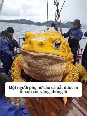 Miễn phí trong thời gian có hạn! Xem quảng cáo để mở khóa nội dung!