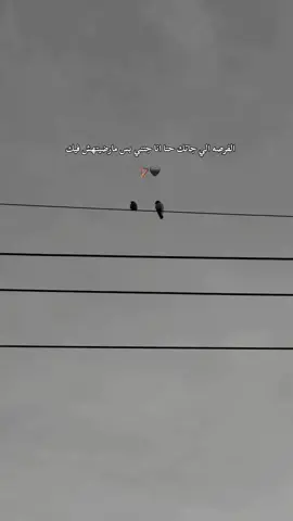 #طرابلس_بنغازي_المرج_البيضاء_درنه_طبرق #طرابلس_ليبيا_بنغازي_طبرق_درنه_زاويه♥️🇱🇾 #ليبيا #ترند 