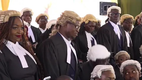 RMS Editorial Director Linus Kaikai sworn in as an Advocate #citizentvkenya #linuskaikai  #citizentv  #kenyantiktok🇰🇪 #kenyantiktok🇰🇪 
