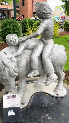 Idk I think it’s a little weird for a park…