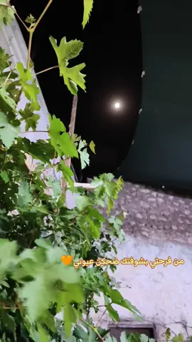 #بعدها عيونك احلى عيون بعيوني🩷🩷