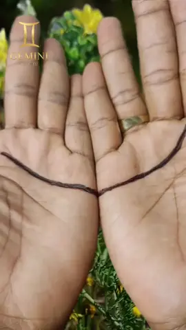 Theo quan điểm chỉ tay Ấn Độ #coutgemini 