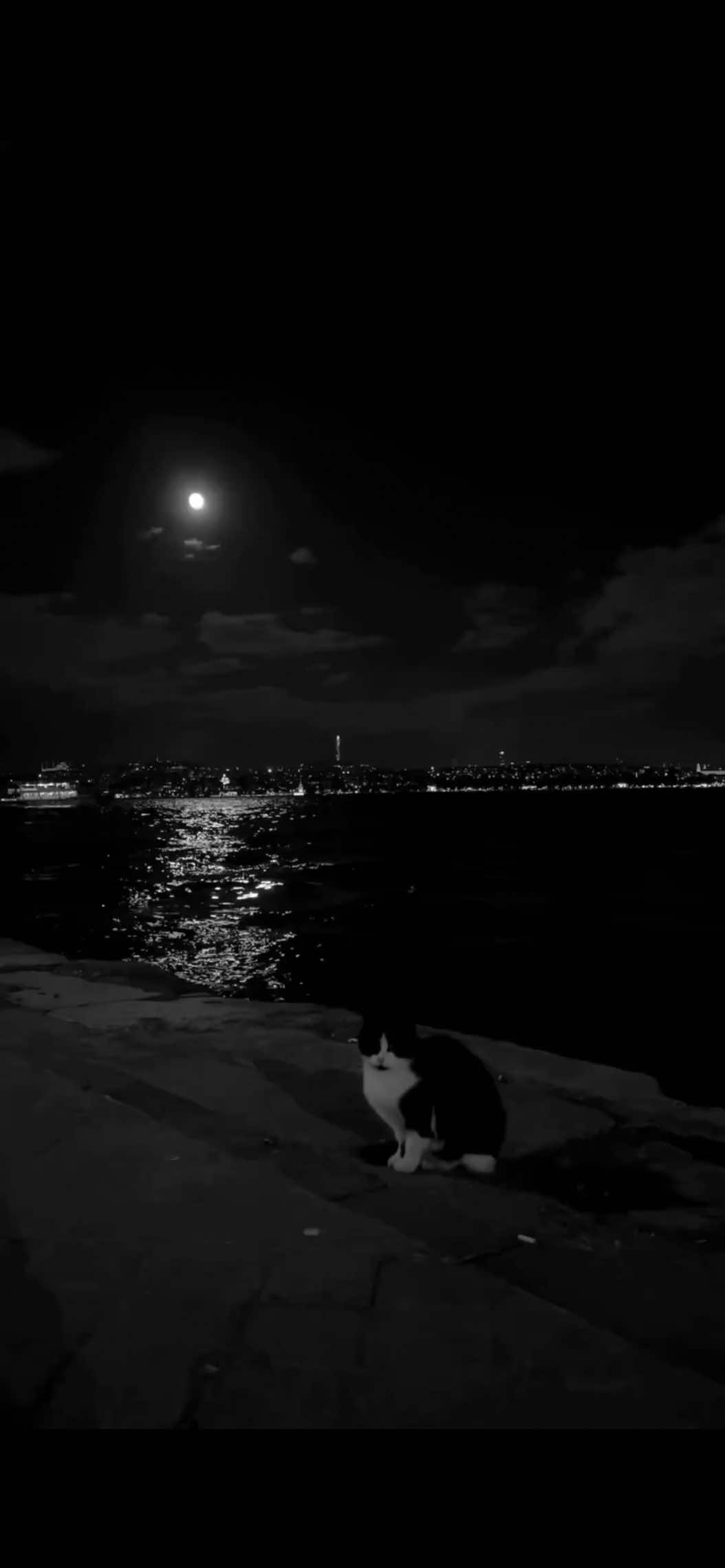 Part | 186 #foryoupage #ftpシ #viral #viralvideo #fy 