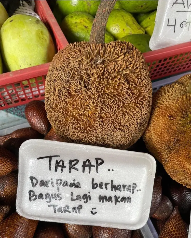 Lebih baik tiarap dri mengharap #midnightstance #sekaratgarage 