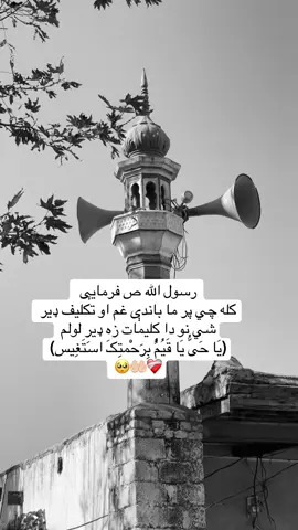 صلی الله علیه والسلام 🤲🏻🥺 #پشتون_تاجیک_هزاره_ازبک_زنده_باد🇦🇫  #unfreezmyacoun #پشتون_تاجیک_هزاره_ازبک_زنده_باد🇦🇫  #unfreezmyacount😭😭😭🙏🙏  #afghanistan🇦🇫 