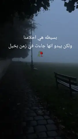 بسيطه هي احلامنا ولكن يبدو انها جاءت في زمن بخيل🥀 #explore #لايك_متابعه_اكسبلور #عبارات #هواجس #اقتباسات📝 
