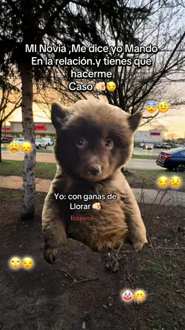 @Susana  kaal🎀🌷🧸♥️ verd 😻 😩LIVEIncentiveProgram #LIVEStory #PaidPartnership 