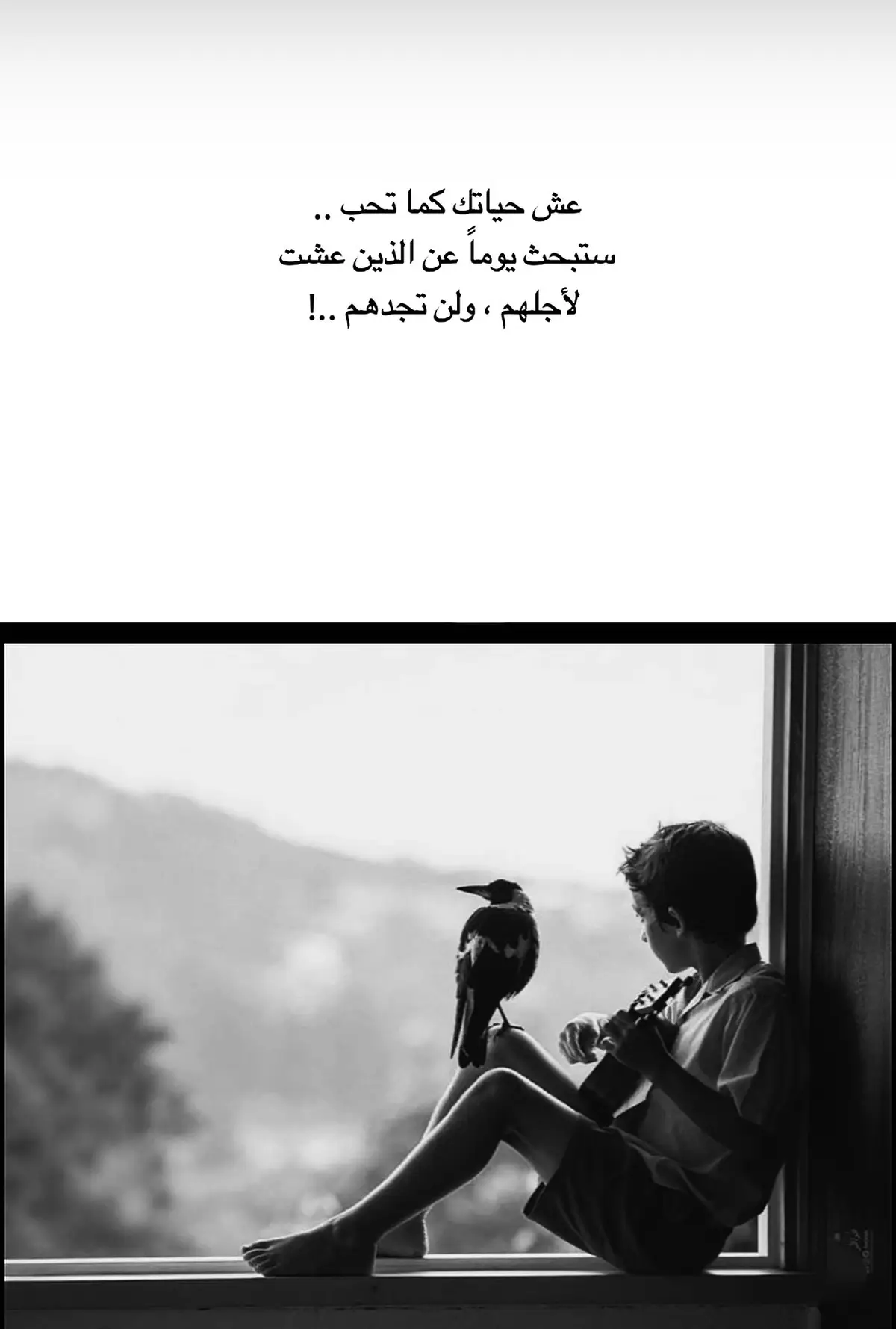 #مجرد_ذووقツ🖤🎼 #مجرد________ذووووووق🎶🎵💞 #اكسبلورexplore #اكسبلور #امريكا 