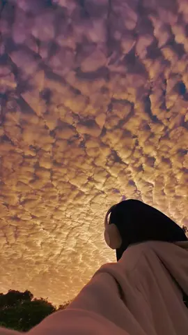 🍁🕊️🍁#tiktok #creatorsearchinsight #foryou #unfreezemyacount #fyp 