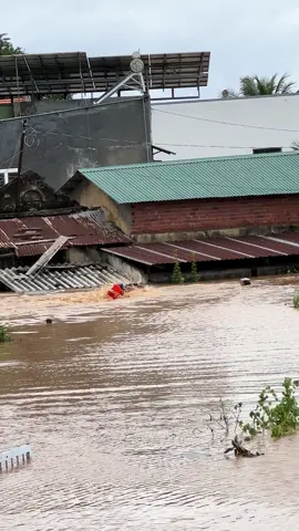 Cứu hộ kiệp thời 🍀#xuhuong #dânbiển 
