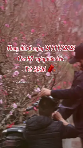 Mong lũ lụt qua nhanh, tất cả bà con đều bình an..!Còn 87 ngày nữa đến Tết 2026..!#tet2026#nhacxuan#nhachaymoingay#tetdongday🌸🌸#xuhuongtiktok2025♥️🔥❤️❤️❤️ 