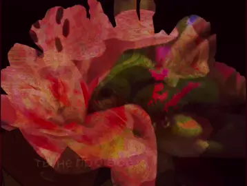 #averythemayo  #d3rlord3 #minecraftarg #Minecraft 