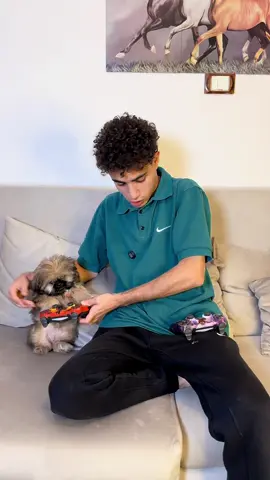 دقدق بيكلم الكلب😂😂#احمدالاسطوره🌸 