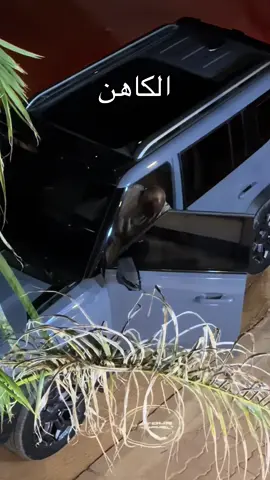 #ودهاشم #الكاهن #الشعب_الصيني_ماله_حل😂😂 