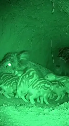 #fyppppppppppppppppppppppp #growmyaccount  #waqas_kutwaal #1million #foryoupage 