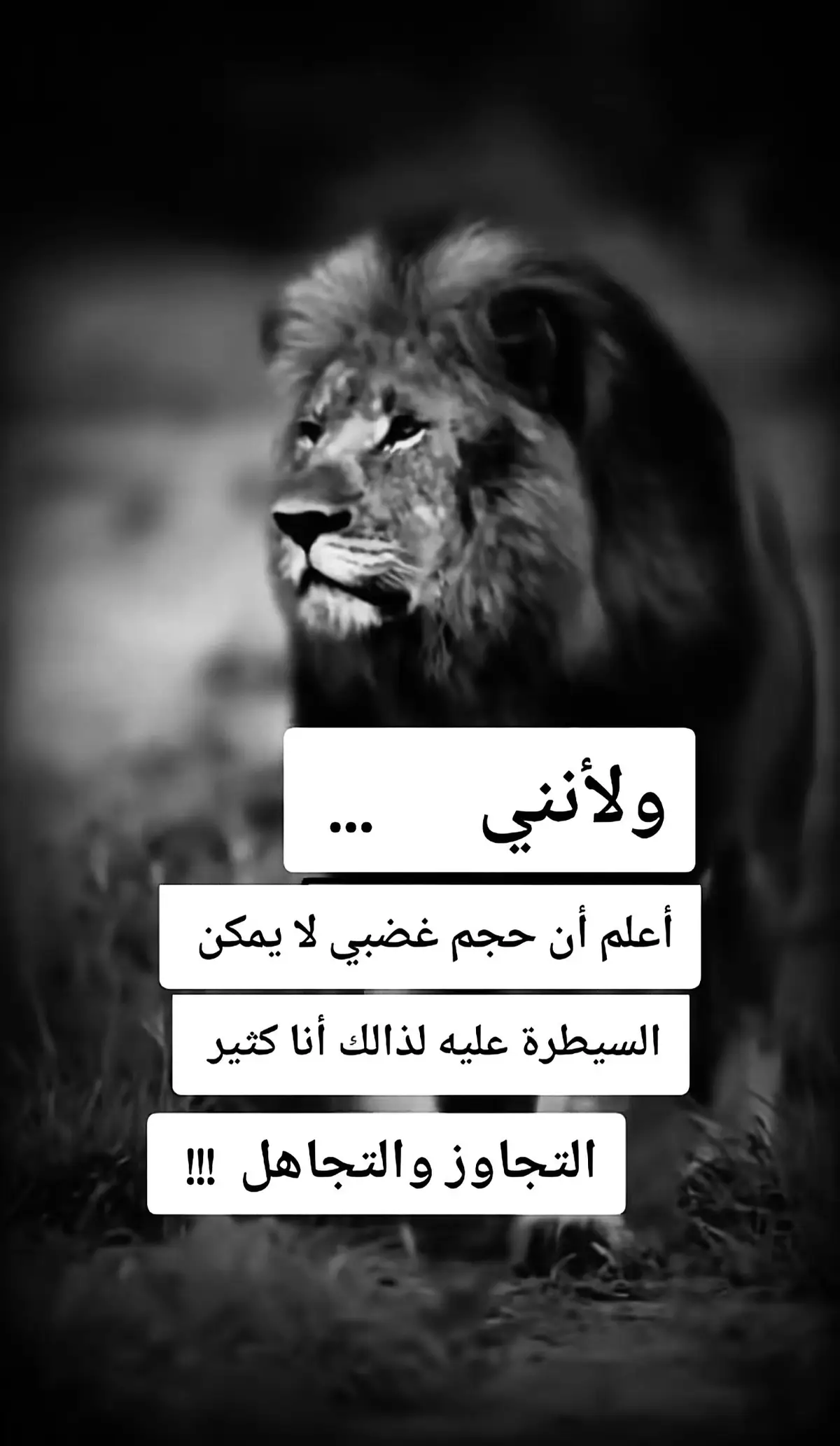 #مجرد_ذووقツ🖤🎼 #مجرد________ذووووووق🎶🎵💞 #اكسبلورexplore #اكسبلور #امريكا 