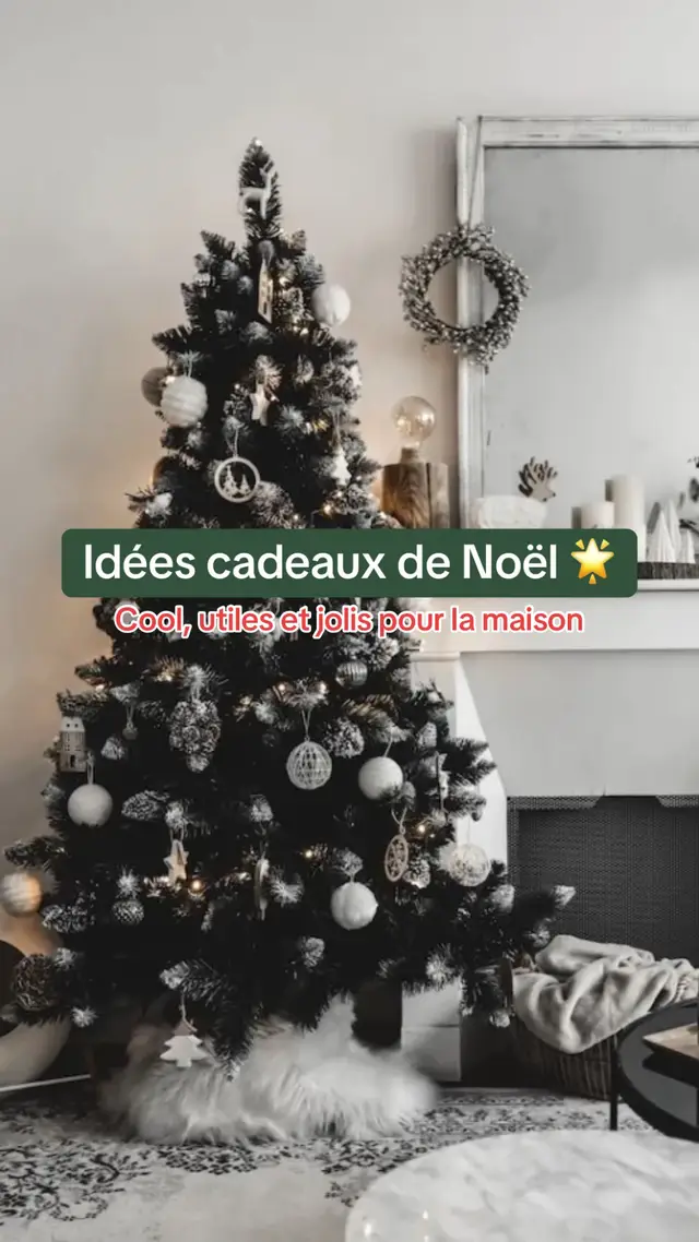 #christmasgiftideas #ideecadeau #christmaspresents #cadeaudenoel #giftidea 